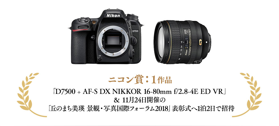 ニコン賞：１作品「D7500 + AF-S DX NIKKOR 16-80mm f/2.8-4E ED VR」