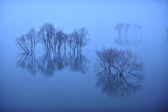 木古林直樹さんの作品　「Blue fog elusive」