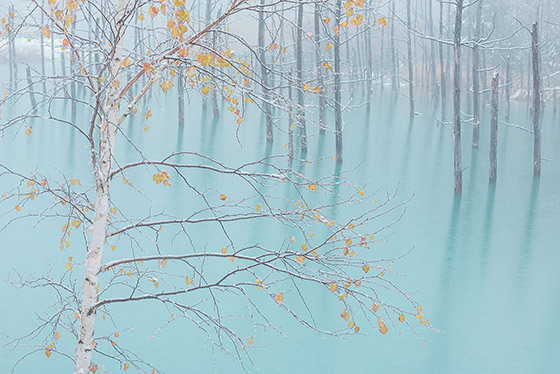 蔦谷雄介さんの作品　「秋から冬へ」